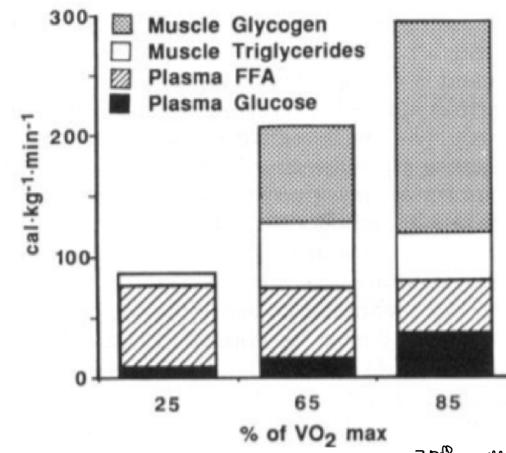 <p>25% VO2max</p><ul><li><p>Majority contribution = <strong>plasma FFA</strong></p></li></ul><p></p><p>65% VO2max</p><ul><li><p>Muscle glycogen comes into action</p></li></ul><p></p><p>85% VO2max</p><ul><li><p>Reduction in fat metabolisms</p></li><li><p>Increase in glucose &amp; glycogen</p></li></ul><p></p><p>Trend:</p><ul><li><p>As intensity increases, Fat metabolisms decrease &amp; carbohydrate metabolisms increase</p></li></ul>