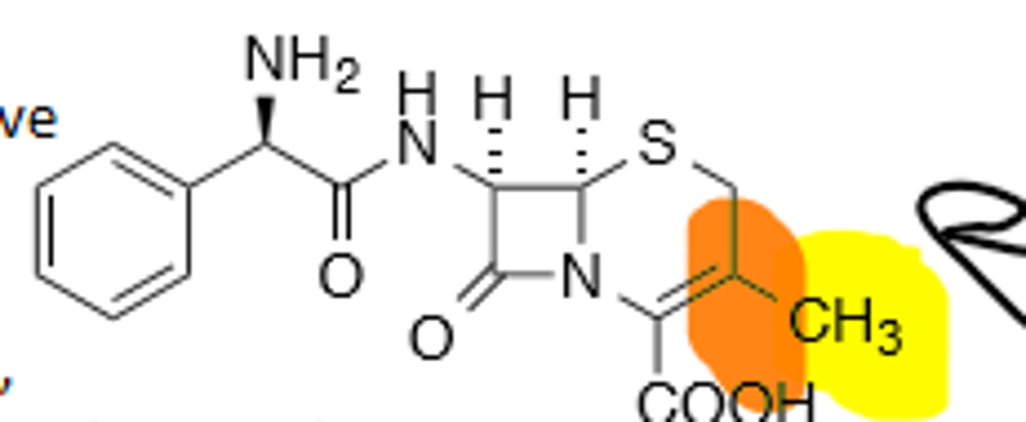 <p>1st Generation Cephalosporin, Orally Active (Bad Leaving Group at C-3)</p>