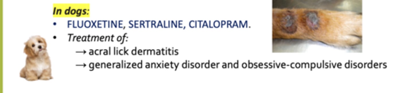 <p>fluoxetine</p><p>sertraline</p><p>citalopram</p>