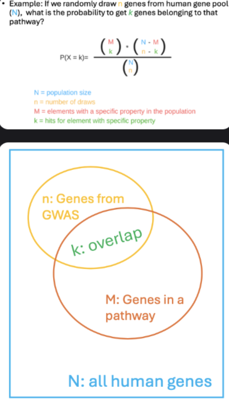 <ul><li><p>Chromosome &amp; base pair position.</p></li><li><p>Coding regions: synonymous / nonsynonymous.</p></li><li><p>Non-coding regions (majority): introns, promoters, enhancers, histone marks, DHS sites.</p></li><li><p>Pathway analysis: link nearest genes to biological pathways; test overlap significance with hypergeometric test (e.g., via EnrichR).</p></li></ul><p></p>