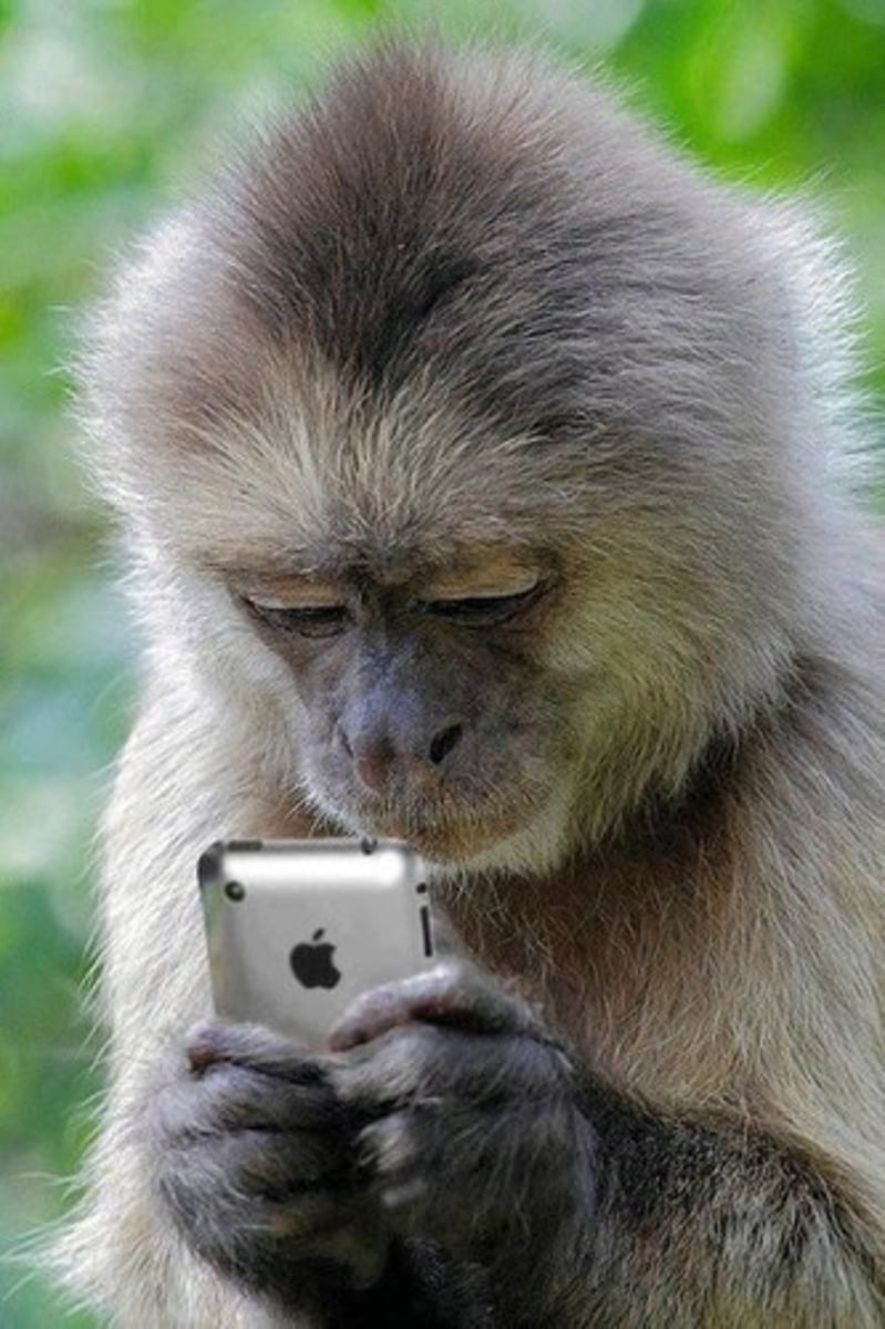 <p>to text</p>
