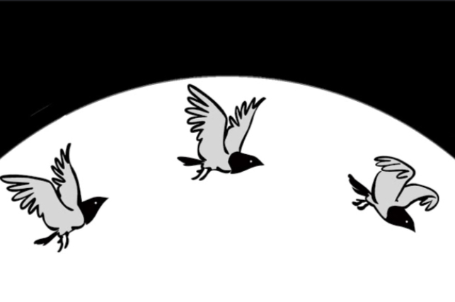 <p>Stroboscopic effect</p>