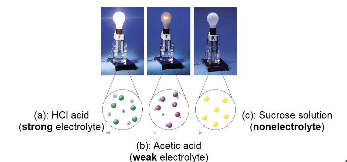 <p><span>• The ions separate and move around independently</span><br><span data-name="arrow_right" data-type="emoji">➡</span><span> Strong electrolyte: Substance whose each unit produces separated ions when dissolved in water</span></p><p></p>