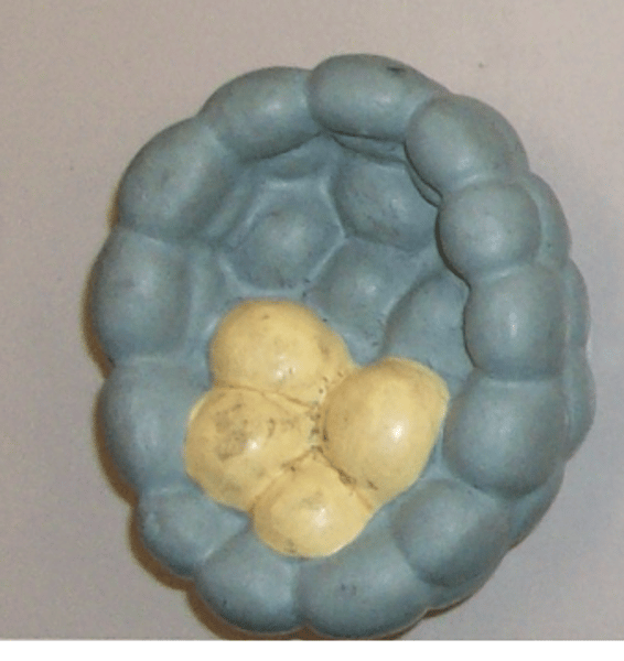 <p>Name the structure</p>