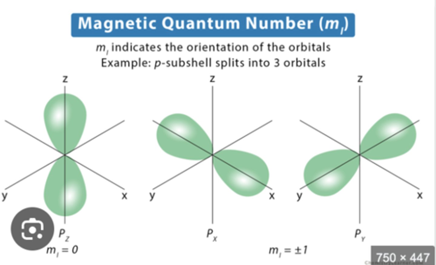 <p>indicates the orientation of the orbital (ranges from -l to l)</p>