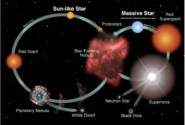 <p>After this stage, a star has two different paths it can take:</p><p></p>