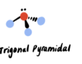 <p>Trigonal pyramidal</p>