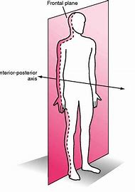 A vertical plane that divides the body into front and back halves (abduction/ adduction)
