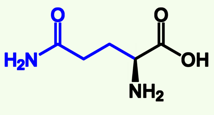 <p>Gln (Q)</p><p>Amide Side Chain</p>