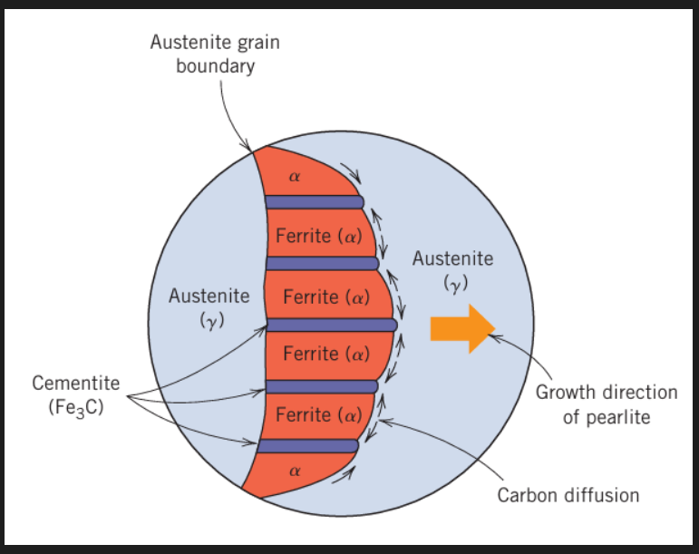 <ul><li><p>Ferrite α phase: Iron in BCC form. Has up to 0.006% C at room temp. (increases to 0.025% at 723 degrees). Close to pure iron. Soft, ductile, low strength. Ferromagnetic.</p></li><li><p>Austenite γ phase: Non magnetic allotrope of iron. Stable above 723 degrees. Can contain higher amounts of dissolved C due to having an FCC structure (up to 2.06% C at 1153 degrees. C in high C steels is limited to about 1.4-1.6%.</p></li><li><p>Cementite Fe3C: 6.67% C, 93.3% Fe. Metal carbide phase with an orthorhombic crystal structure. Very hard and brittle.</p></li><li><p>Pearlite: A mix of alternating ferrite and cementite layers. Very tough structure. Thickness of the layers depends on the cooling rate. Contains 0.83% C. In steel, C is combined with Fe (no free carbon, graphite, present in the structure). Max. C content in steel is 2.1%. Above 2.1% C, the extra C will precipitate as free or uncombined flakes or graphite, forming cast iron.</p><ul><li><p>When austenite cools below the eutectoid temp. some ferrite will start growing at the grain boundaries.</p></li><li><p>This ferrite will expel any excess C in the surrounding matrix until the C percentage is high enough to form Fe3C.</p></li><li><p>A layer of Fe3C will subsequently form and the process is repeated to get a lamellar structure of alternating layers of alpha Fe and Fe3C.</p></li></ul></li></ul><p>A lot of solute diffusion will happen in parallel to the growth front within the austenite. This sort of growth is called co operative growth. The distance between the layers of cementite and ferrite is known as the interlamellar spacing.</p>