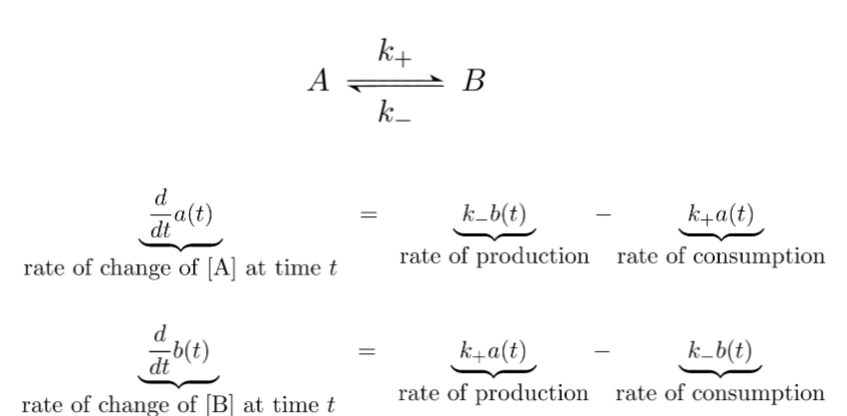 <p>This equation models…</p><ul><li><p>decay</p></li><li><p>production and decay</p></li><li><p>irreversible conversion</p></li><li><p>reversible conversion</p></li><li><p>enzymatic reaction</p></li><li><p>spatial reaction networks</p></li><li><p>stochastic system</p></li></ul><ul><li><p>predator-prey relationship (Lotka-Volterra)</p></li></ul><p></p>