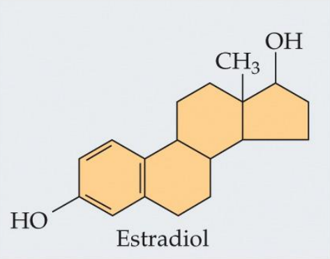 <p>Derived from cholesterol; most important for sexual development and behavior</p><p>Bind to receptors inside the target cell; binds to DNA and controls expression of other genes</p>