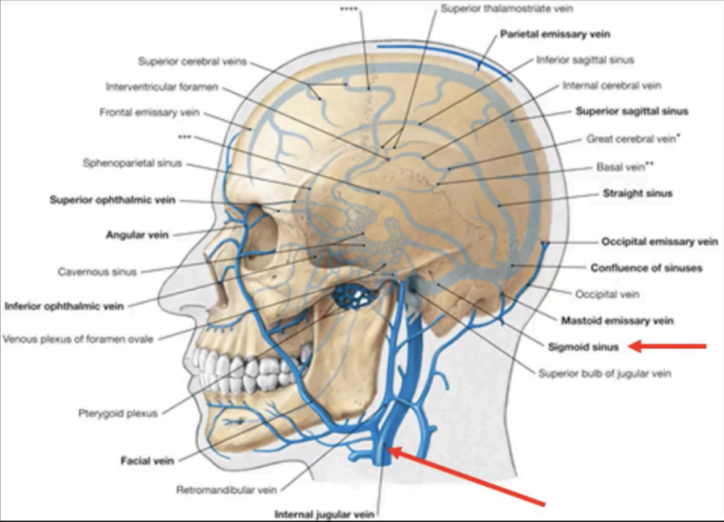 <p>cerebral veins; subarachnoid space; arachnoid villi; internal jugular vein</p>
