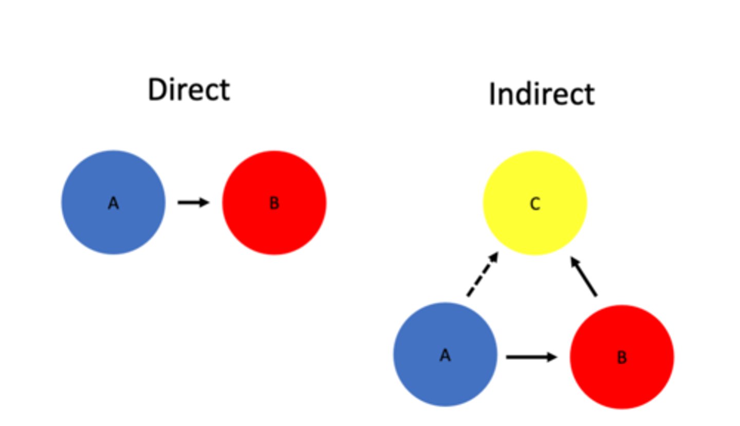<p>relationships btw 2 species mediated by a third</p>