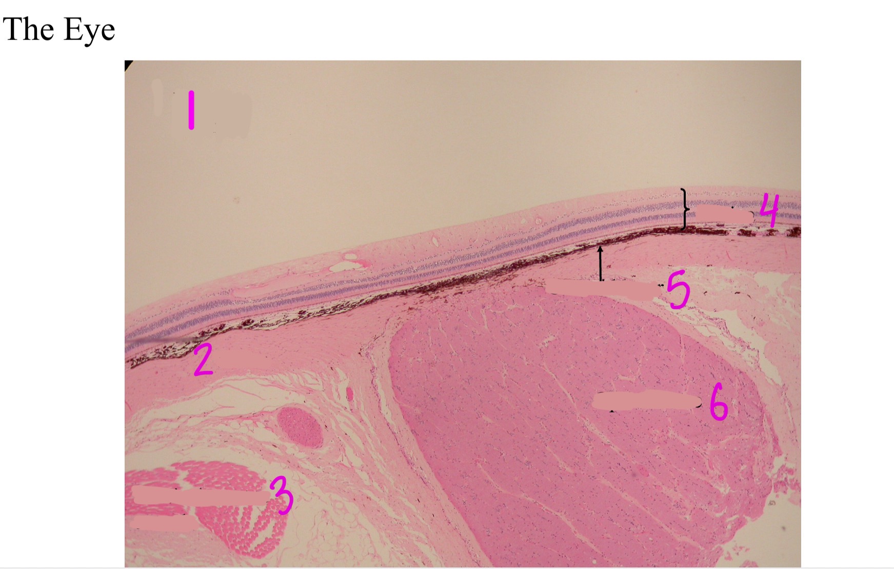 <ol><li><p></p></li><li><p></p></li><li><p></p></li><li><p></p></li><li><p></p></li><li><p></p></li></ol>