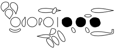 <p>G</p>