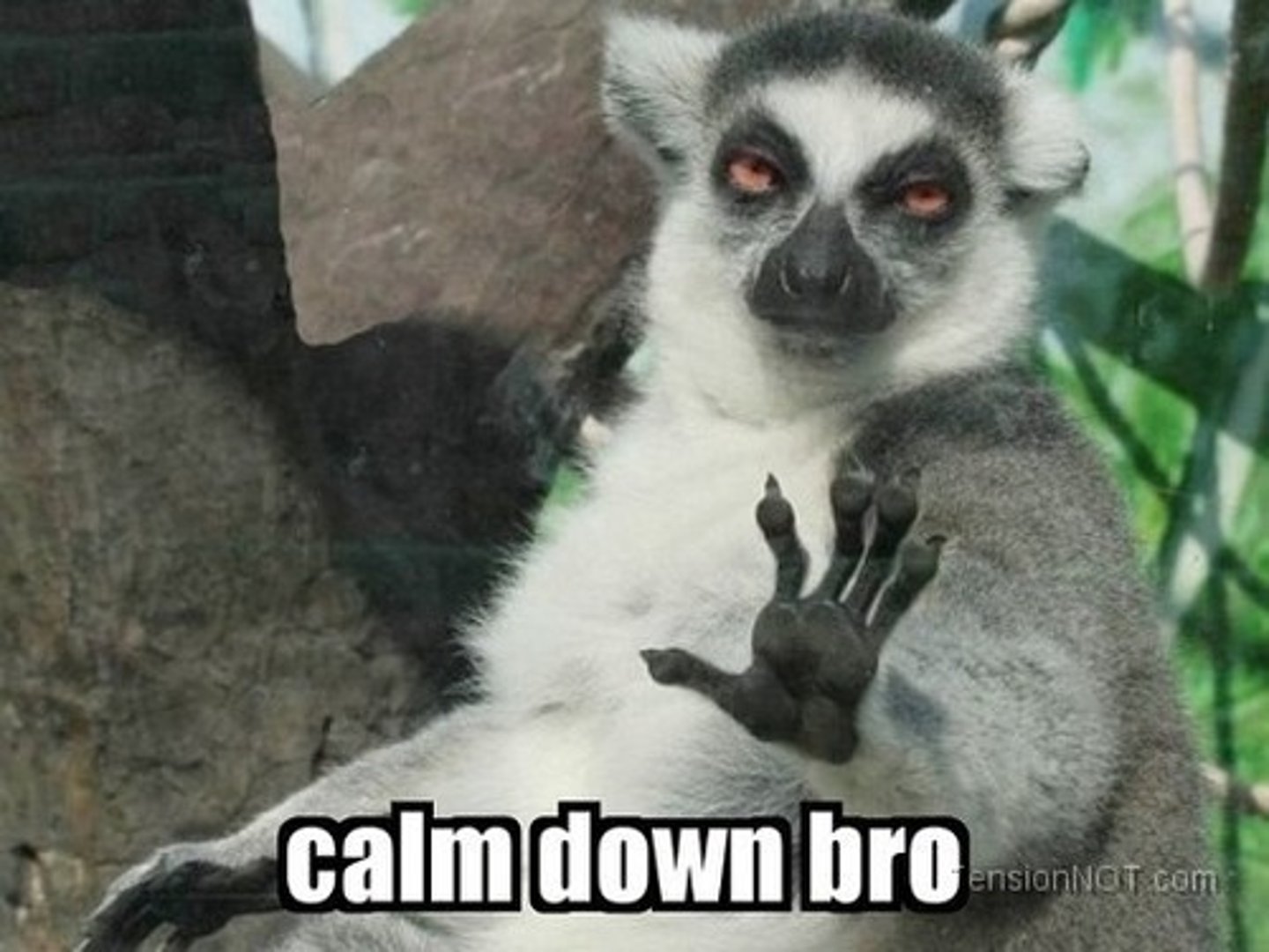 <p>You calm yourself down. (Tú)</p>