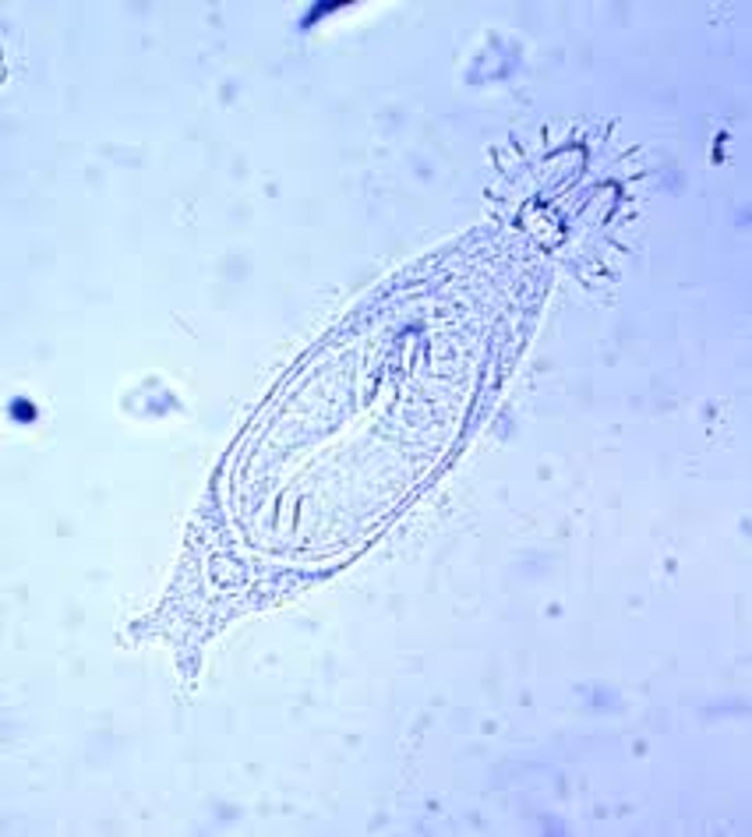 <p>Class?</p>