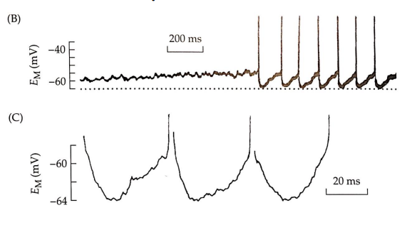 <p>what is this graph showing?</p>