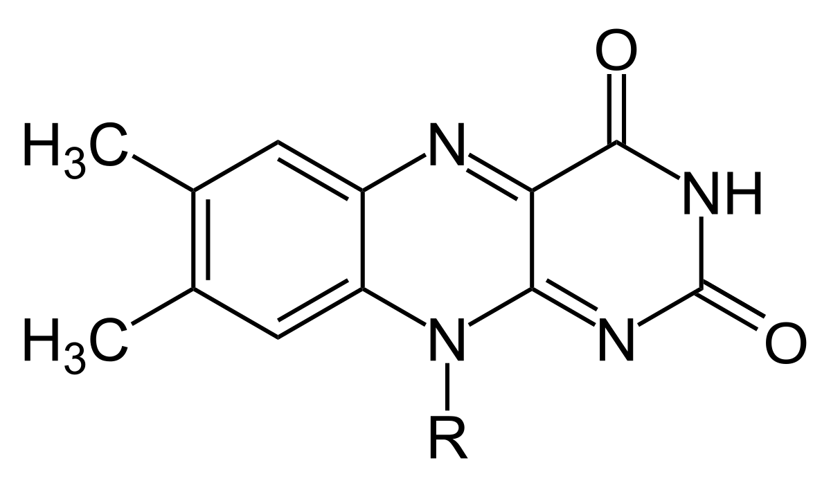 * a class of organic compounds that contain a flavin ring system.  
* important coenzymes involved in various biological processes, such as redox reactions and energy metabolism. 
* They play a crucial role in enzymatic reactions, acting as electron carriers and participating in oxidation-reduction reactions. 