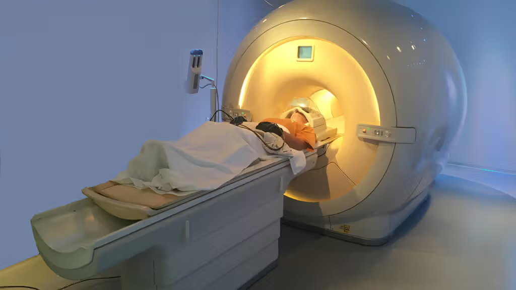 <p><strong>fMRI Evidence of Imagery and Perception</strong></p>