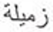<p>What’s the definition, the plural, and the plural type?</p>