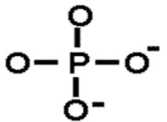 <ul><li><p>Chemical formula: PO<sub>4</sub><sup>2-</sup></p></li><li><p>Negative charge = hydrophilic properties</p></li><li><p>In nucleotides, phospholipids, ATP</p></li></ul><p></p>