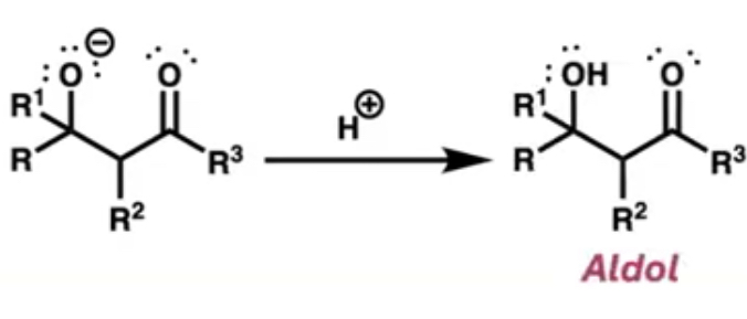 <p>acid(H+) which creates the aldol by connecting to the negatively charged O</p>