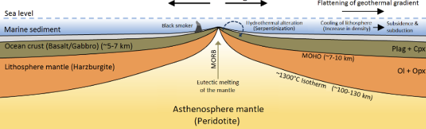 <p>Oceanic Ridge system</p>