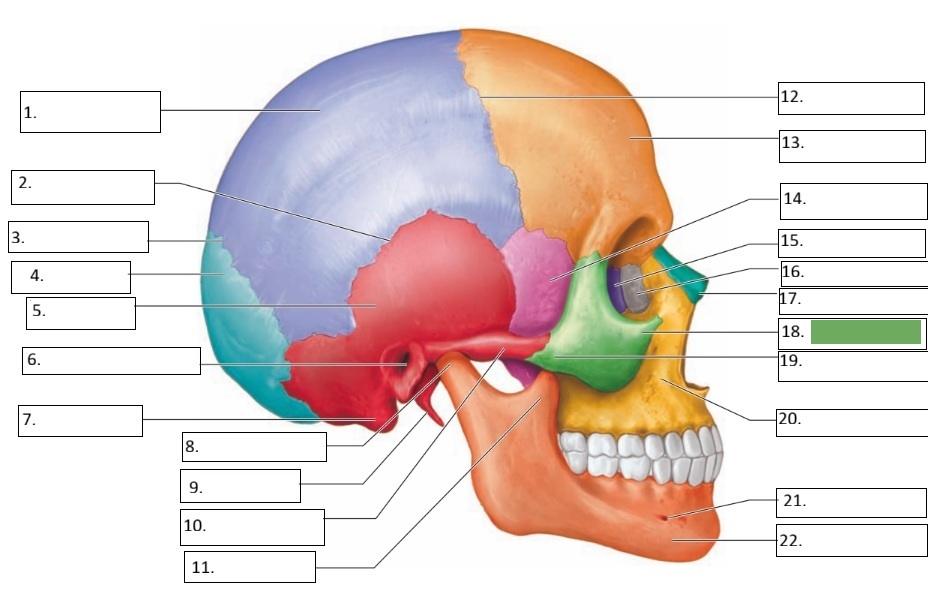 <p>18</p>