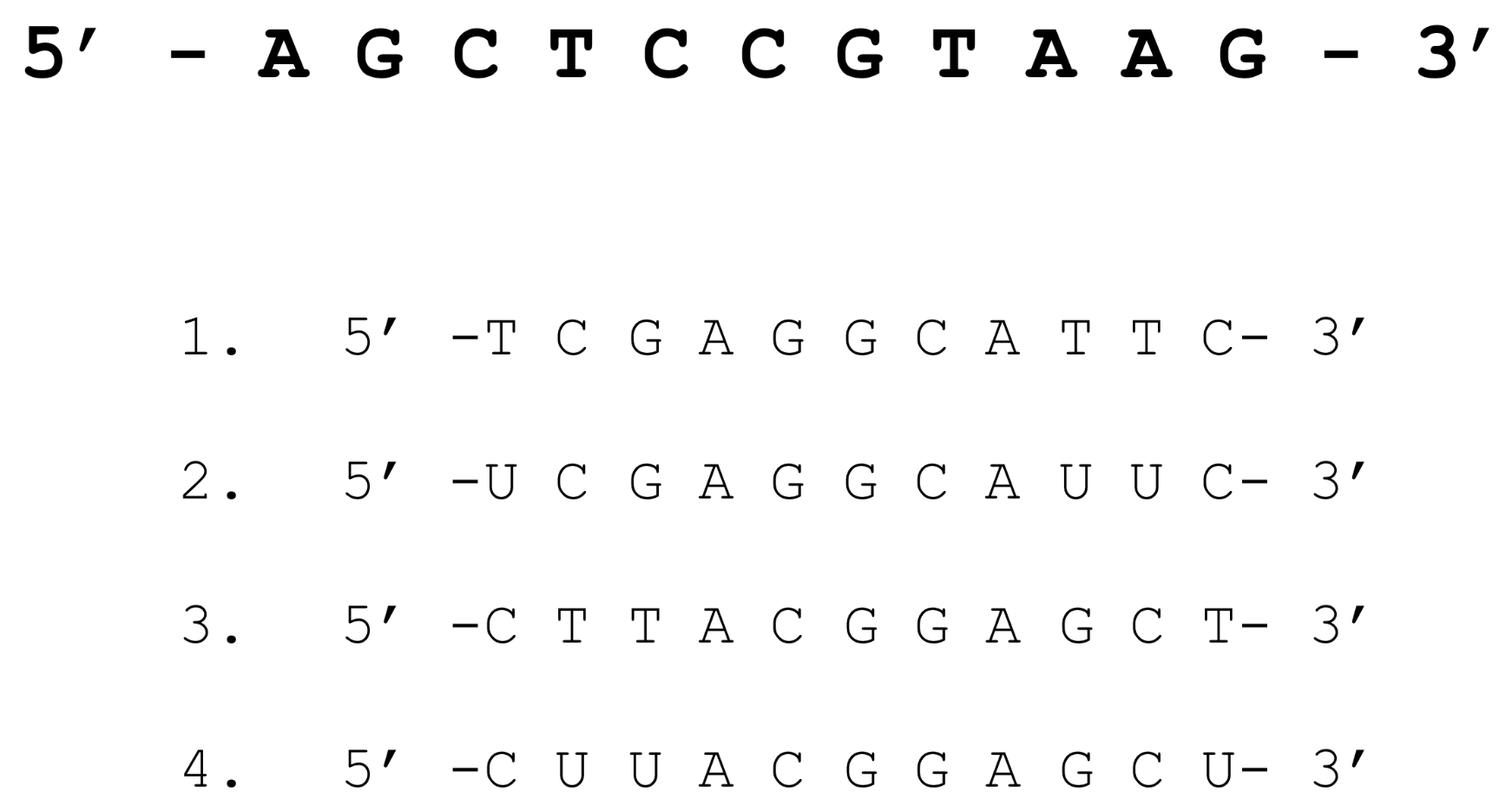 <p>What is the correct sequence of the complimentary strand?</p>