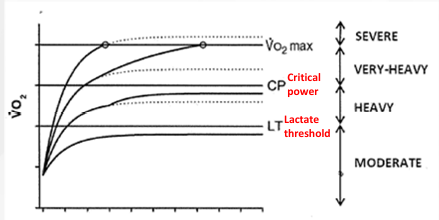 <ol><li><p>Steady state exercise above LT (slow component)</p></li><li><p>Check douglas bag over time</p></li></ol><p></p>