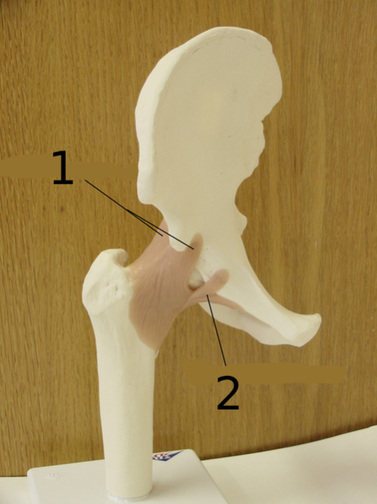 <p>#1</p>