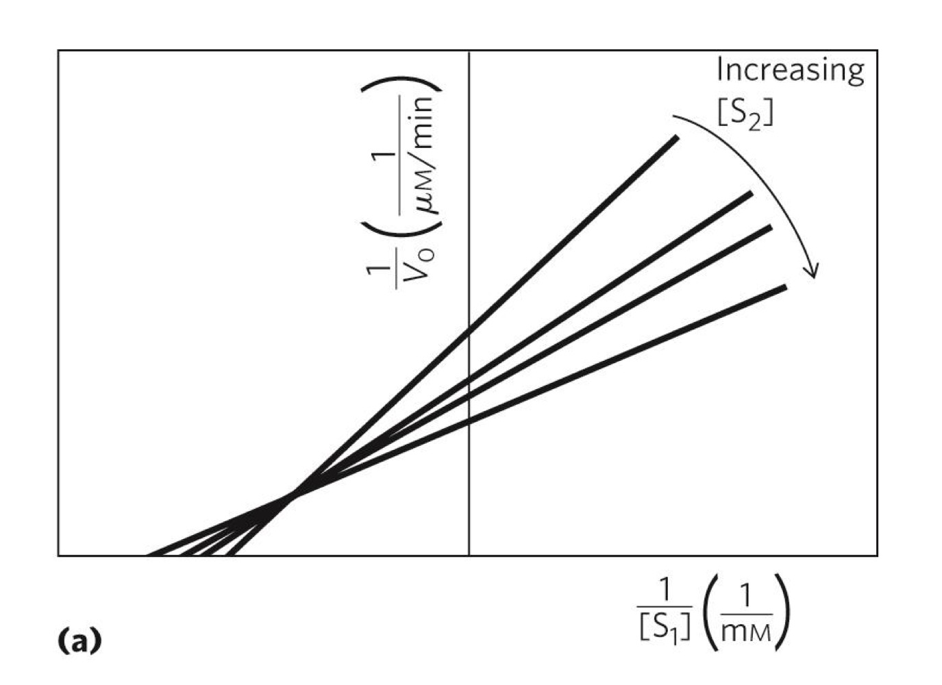 <p>what does this graph indicate and what type of graph is it?</p>