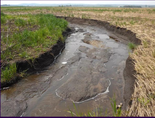 <p><strong>TYPES OF EROSION:</strong></p><p>degradation of soil due to<strong> flow of water from nearby bodies of water</strong></p>