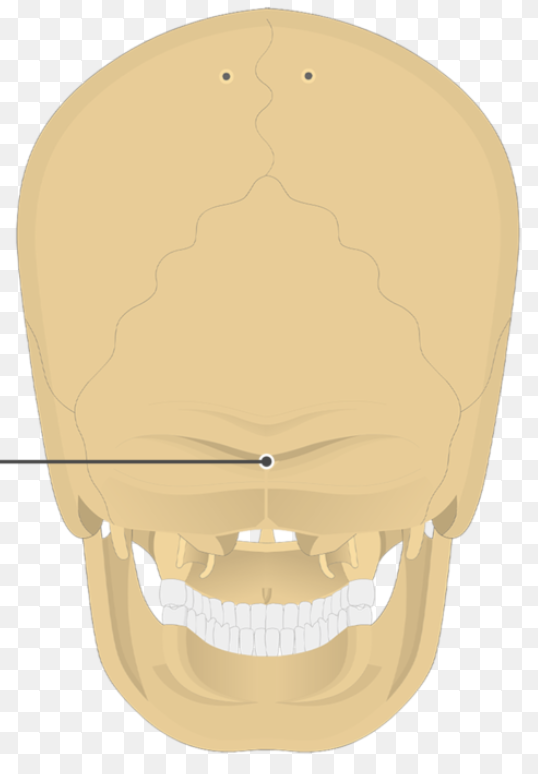 <p>ID feature</p>