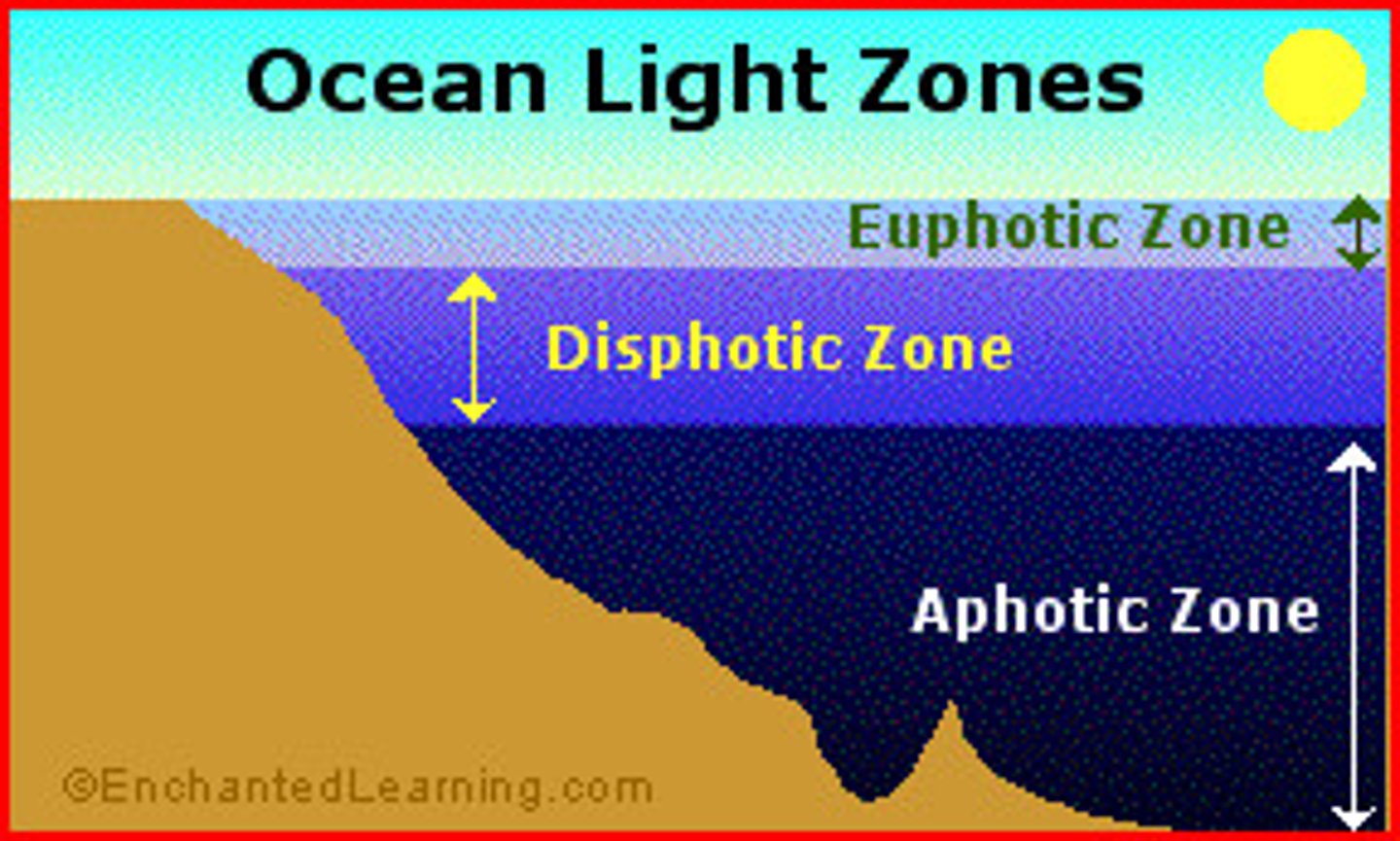 <p>- Below the compensation point there is still light but not enough to survive because the rate of respiration would be greater than the rate of photosynthesis. Around 90% of marine life is found above the compensation point.</p>