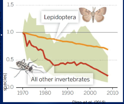 <p>3.<span><span>Decay & homogenization of biodiversity</span></span></p>