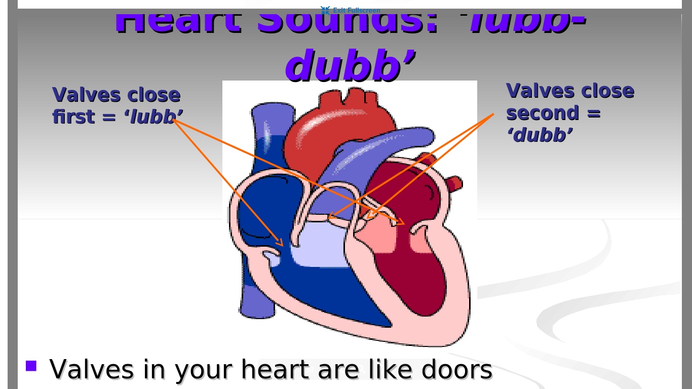 <ul><li><p>First lubb →atrioventricular valves close first</p></li><li><p>Second dubb →pulmonary and aortic valves close second</p></li></ul><p></p>
