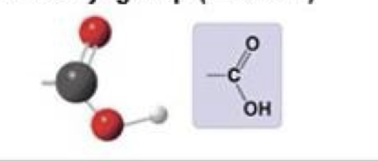 <p>Carboxyl group</p>