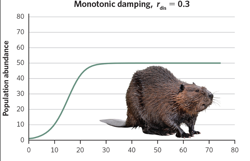 <p>The population smoothy and gradually approaches the carrying capacity (K) with no oscillations</p>