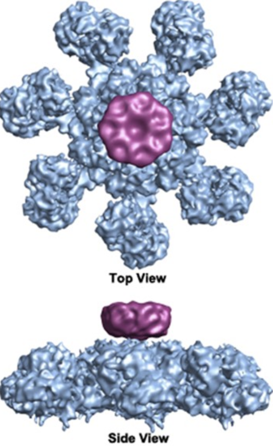 What is shown in the image below?