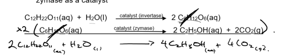 <ul><li><p>uses yeast that produces enzymes capable of catalysing the conversion of biomass</p></li><li><p>consists of 2 chemical reaction</p></li><li><p>1. Hydrolysis of sucrose to glucose/fructose using the enzyme Invertase</p></li><li><p>2. fermentation of glucose/fructose to ethanol using the yeast enzyme zymase as a catalyst</p></li></ul><p></p>