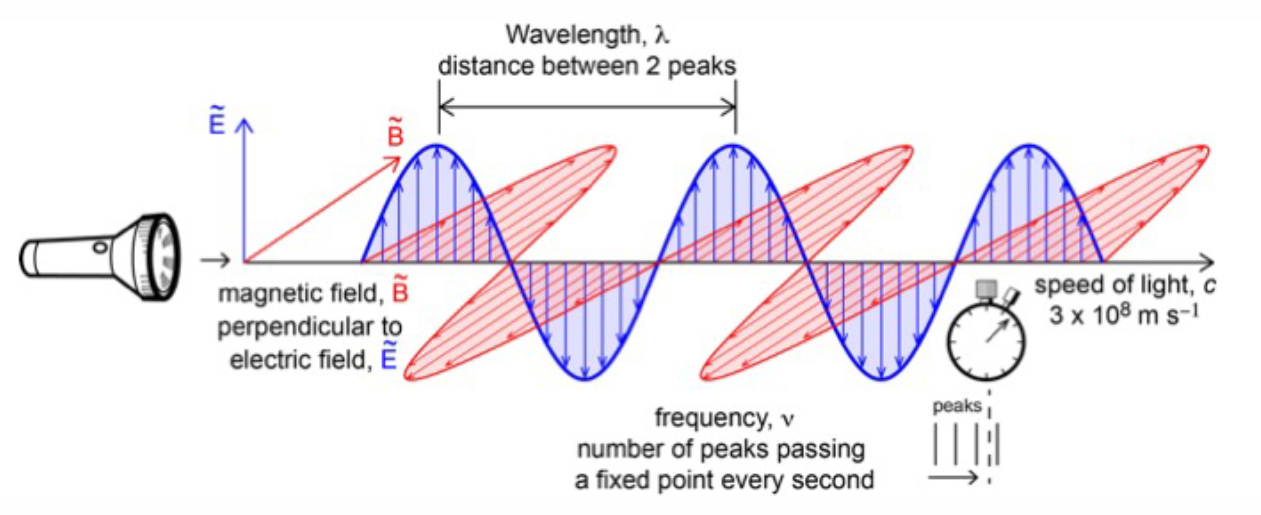<ul><li><p>Includes&nbsp;<strong>light, X-rays, etc.</strong></p></li><li><p>Consist of <strong>oscillating electric and magnetic fields</strong> at right angles.</p></li><li><p>Travel at the speed of light</p></li></ul><p></p>