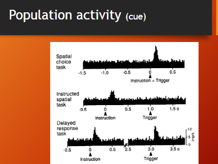 <p>what does cue related activity show?</p><p>what was the point of splitting data analysis into medial and lateral cue</p><p>conclusion about dopamine neurons then</p>
