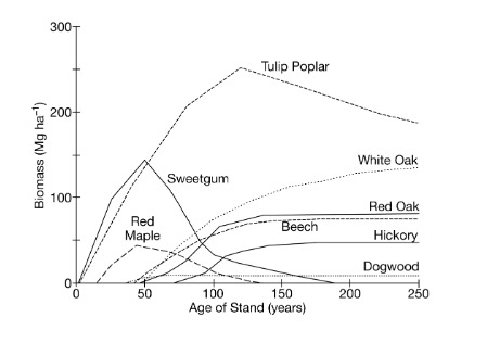 <p>Based on the graph above, which of the following tree species would be the predominant species found during the intermediate stage of succession?</p><p><strong>A. </strong>Red maple</p><p><strong>B. </strong>Sweetgum</p><p><strong>C. </strong>Tulip poplar</p><p><strong>D. </strong>White oak</p>