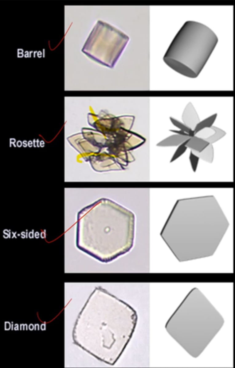 <p>1. barrel</p><p>2. rosette</p><p>3. six-sided</p><p>4. diamond</p>