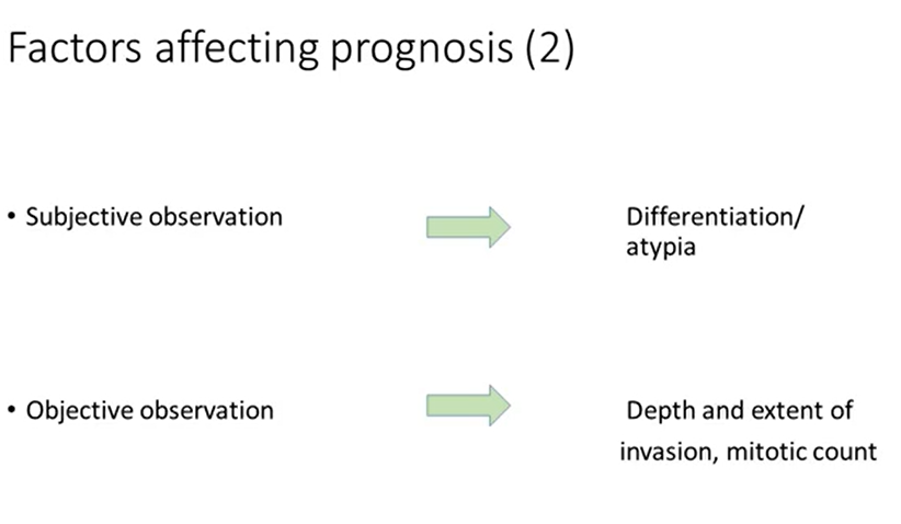 <ul><li><p>subjective - differentiation/atypia </p></li><li><p>objective - <strong>depth </strong>and extent of invasion, <strong>mitotic </strong>count </p></li></ul><p></p>