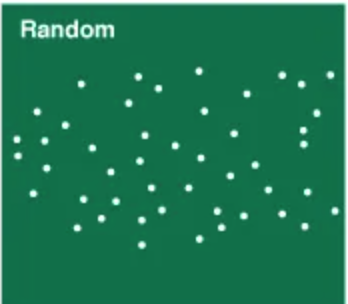<ul><li><p>resources random </p></li><li><p>dispersal due to wind or water currents </p></li></ul><p></p>