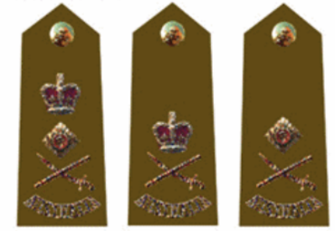 <p>Name these Army Ranks</p>